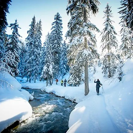 A Courchevel, 3 Pers. - Acces Pistes - Fr-1-575-257 شقة